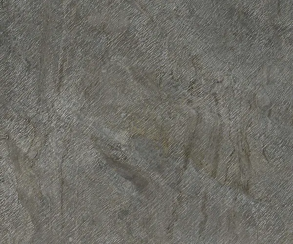 Deoli Green Stone Veneer