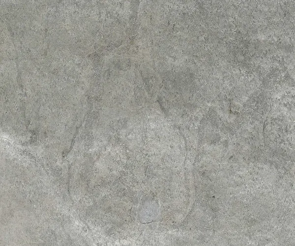 Silver Shine Stone Veneer