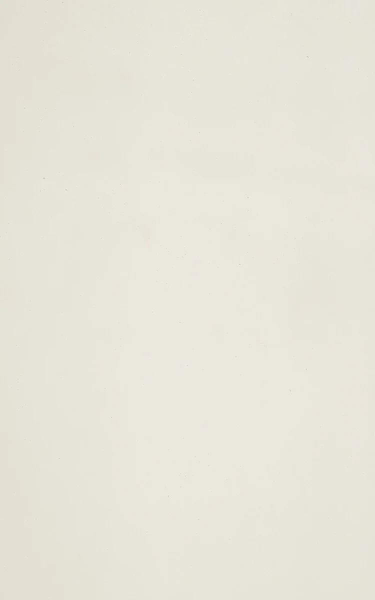 White Concrete Stone Veneer