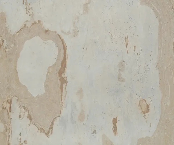 Autumn Cream Slate Architectural Texture