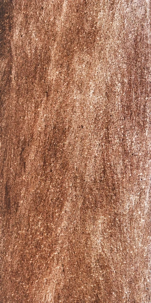 Agra Red Translucent Veneer natural stone veneer by HSK International