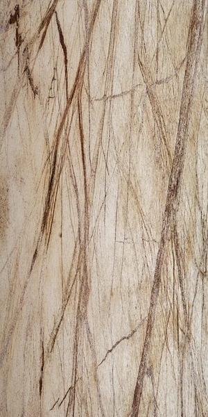 Forest Brown Translucent Veneer natural stone veneer by HSK International