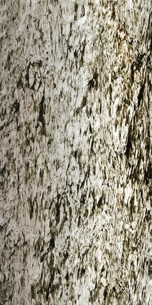 Ocean Multi Colour Translucent Veneer natural stone veneer by HSK International