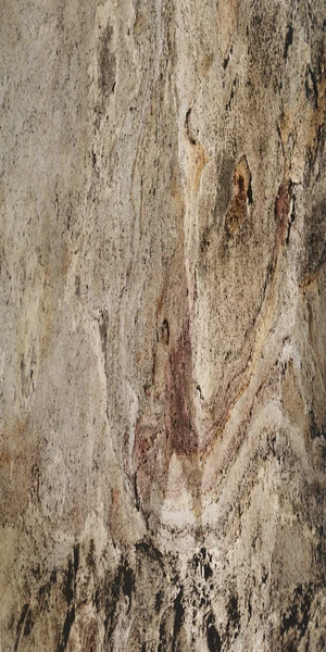 S White Translucent Veneer gallery image - natural stone veneer by HSK International