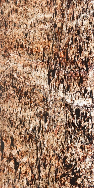 S White Translucent Veneer gallery image - natural stone veneer by HSK International