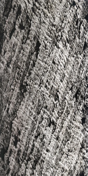 Silver Galaxy Translucent Veneer natural stone veneer by HSK International