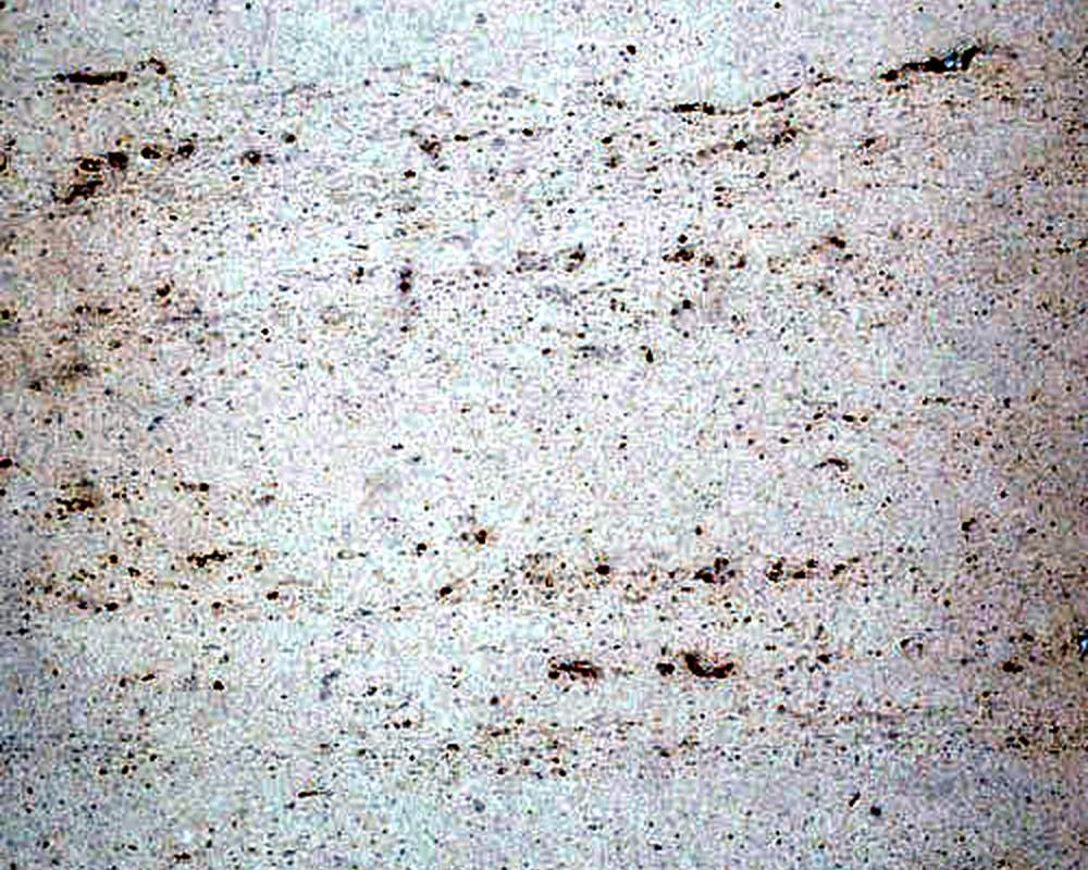 Beige Travertine Veneer Texture showing natural stone texture for flexible Travertine veneer