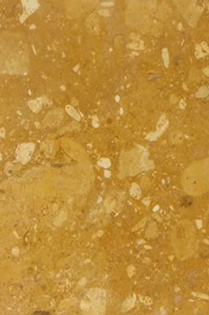 Fossil Gold Limestone natural limestone by HSK International
