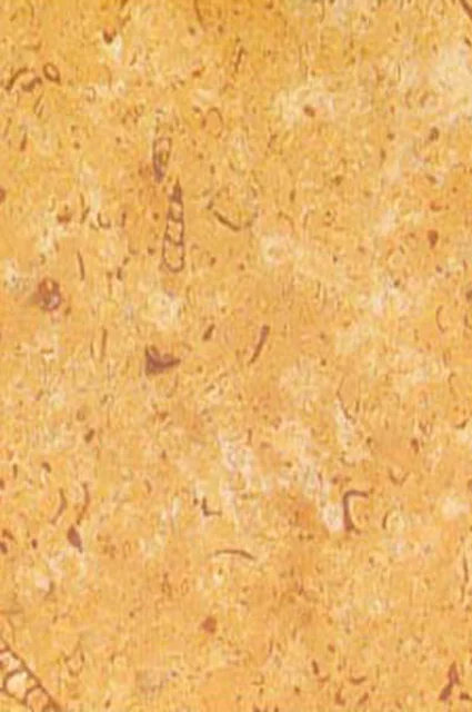 Galaxy Gold Limestone natural limestone by HSK International