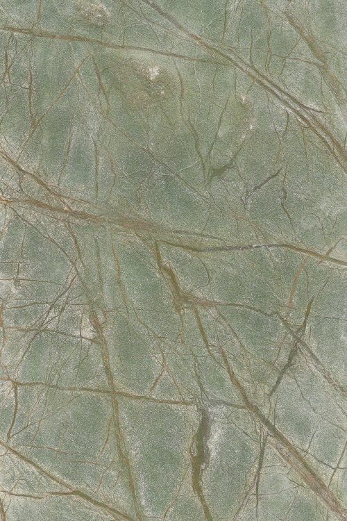 Rain forest Green