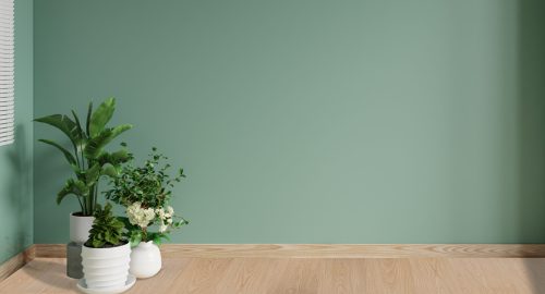 W-1023-scaled-1.jpg